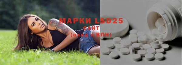 ПСИЛОЦИБИНОВЫЕ ГРИБЫ Тавда