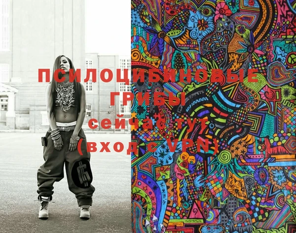 индика Беломорск