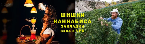 индика Беломорск