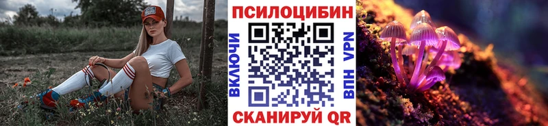 мориарти как зайти  Навашино  Псилоцибиновые грибы прущие грибы 